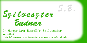 szilveszter budnar business card